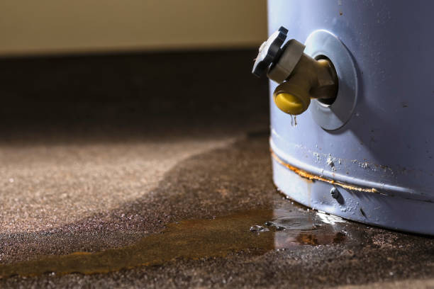 Best Residential water damage restoration  in Spanay, WA