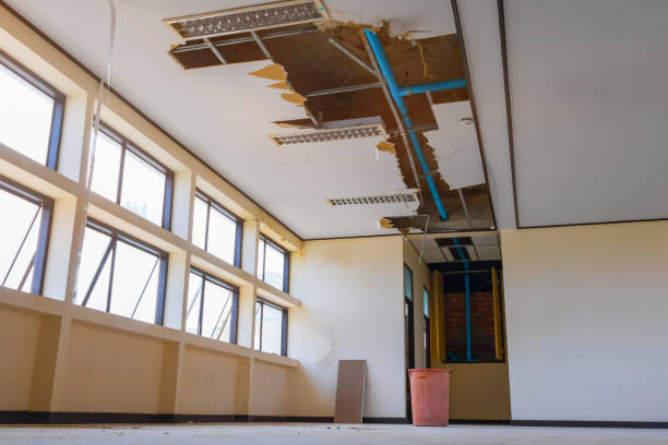 Best Professional water damage repair  in Spanay, WA