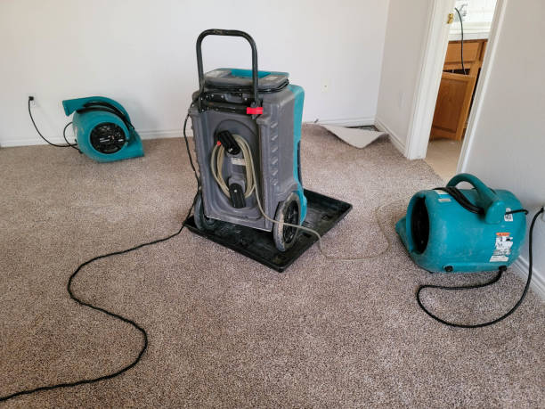  Spanay, WA Water damage restoration Pros