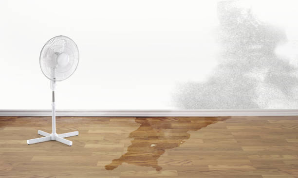 Water damage restoration process in Spanaway, WA