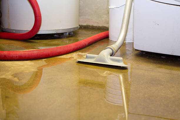 Best Ceiling water damage repair  in Spanay, WA