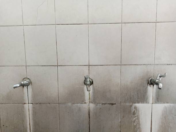 Best Water damage restoration process  in Spanay, WA