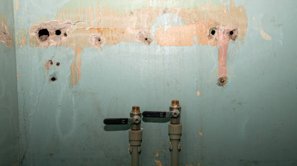 Best Water damage restoration experts  in Spanay, WA