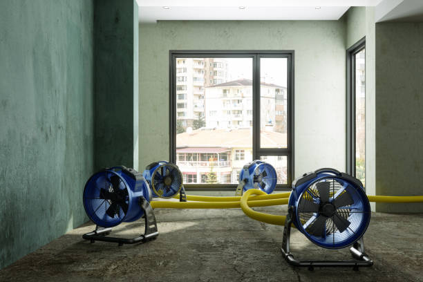 Best Sewage cleanup and water damage restoration  in Spanay, WA